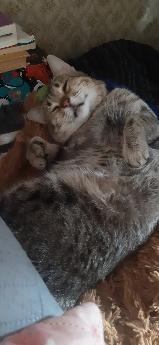 Сержик воображает.