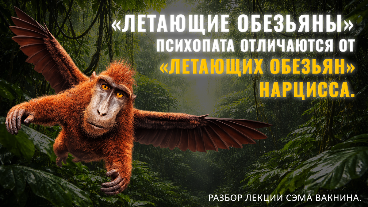 «ЛЕТАЮЩИЕ ОБЕЗЬЯНЫ» ПСИХОПАТА ОТЛИЧАЮТСЯ ОТ «ЛЕТАЮЩИХ ОБЕЗЬЯН» НАРЦИССА.