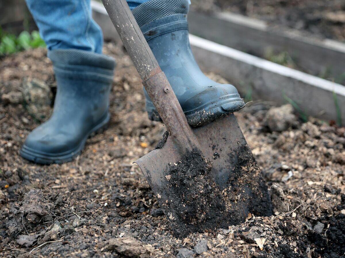    Дачник на своем участке | © РИА Новости / Виталий Белоусов