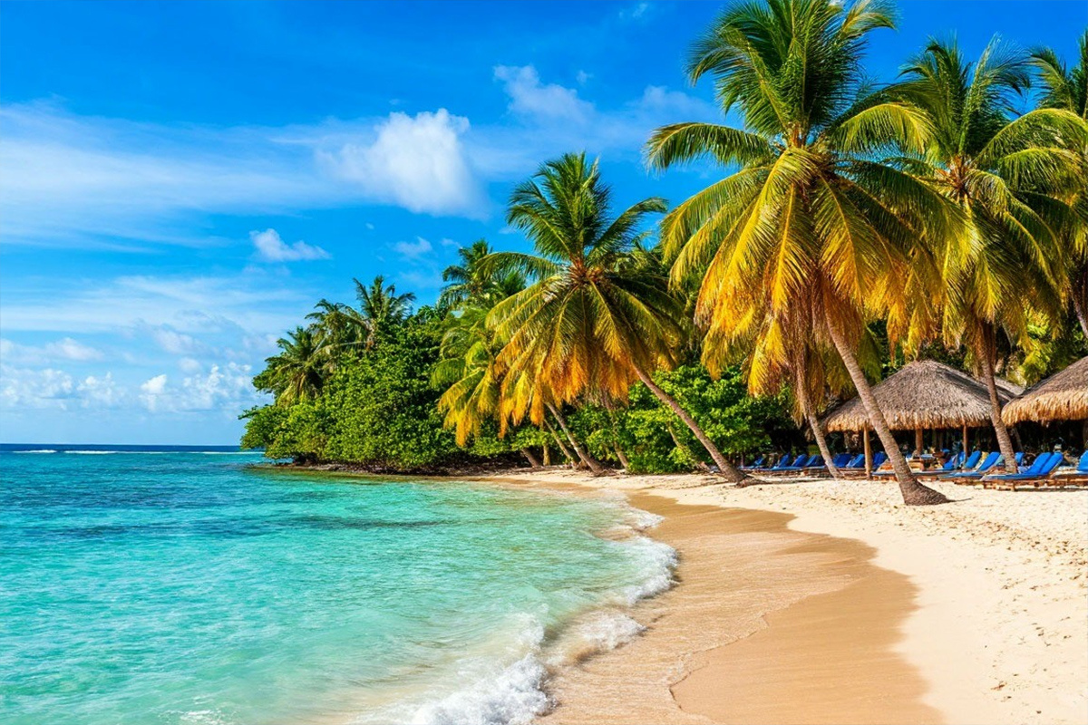    Фото: коллаж RuNews24.ru