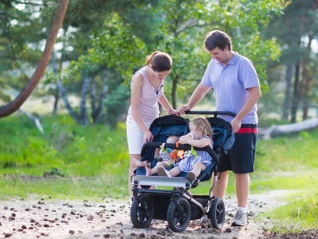    Фото: depositphotos/FamVeldman