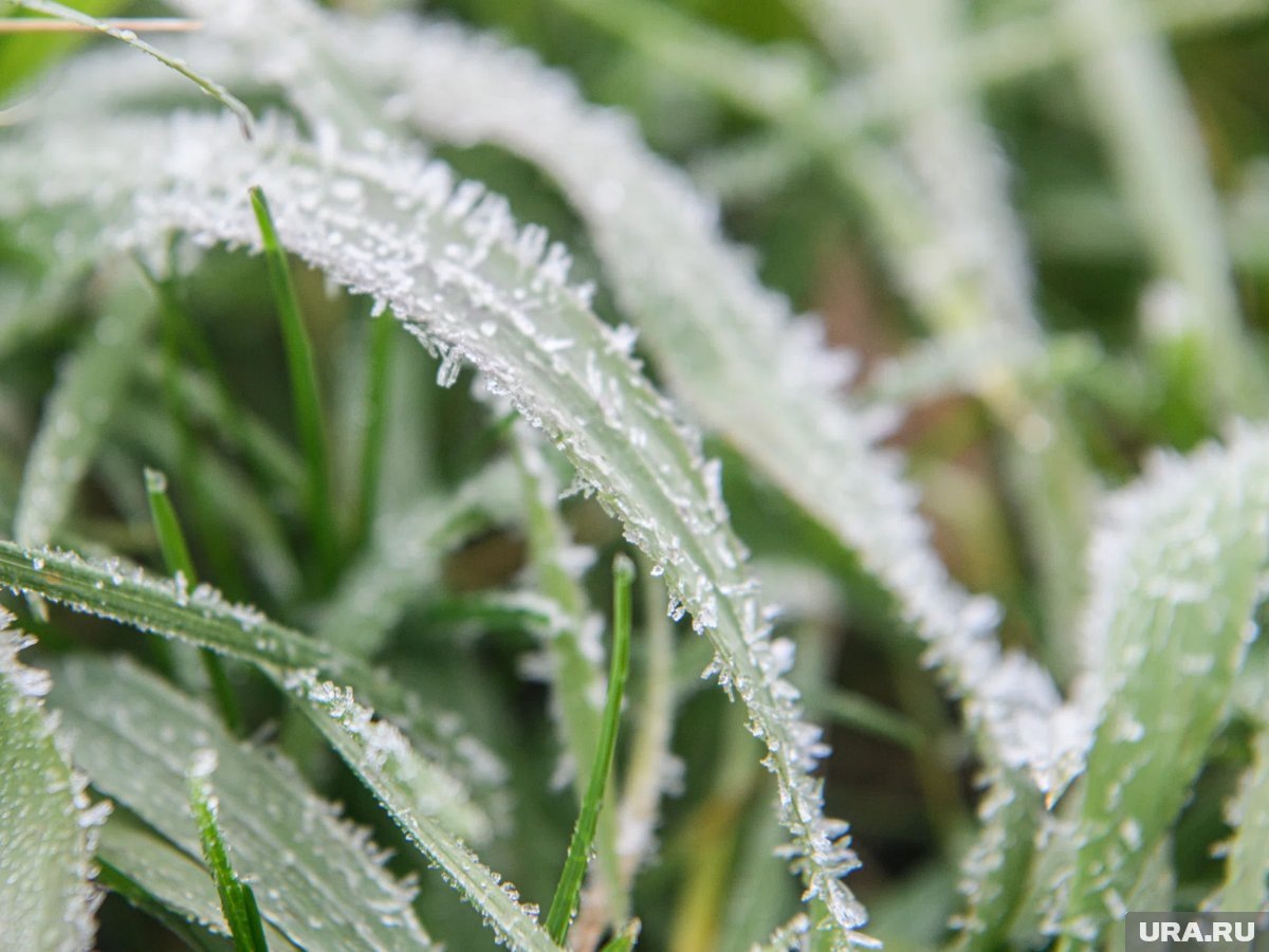     В первой половине мая в европейской части России ожидается похолодание с заморозками