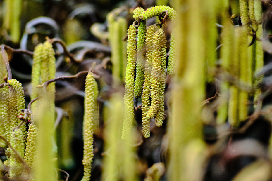    Stefan Jaitner/dpa/Global Look Press