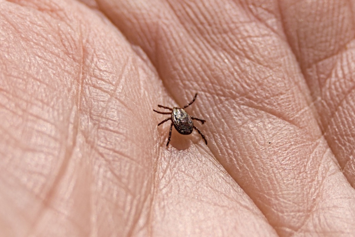 Миленький такой, да?