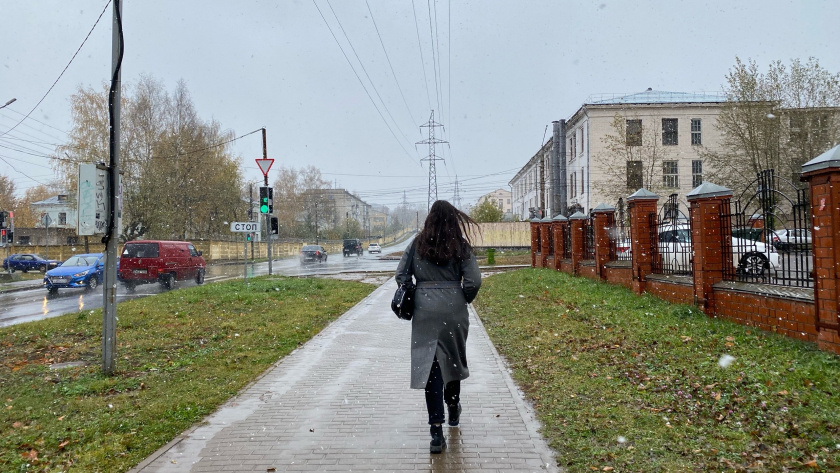    Фото: progorod43.ru