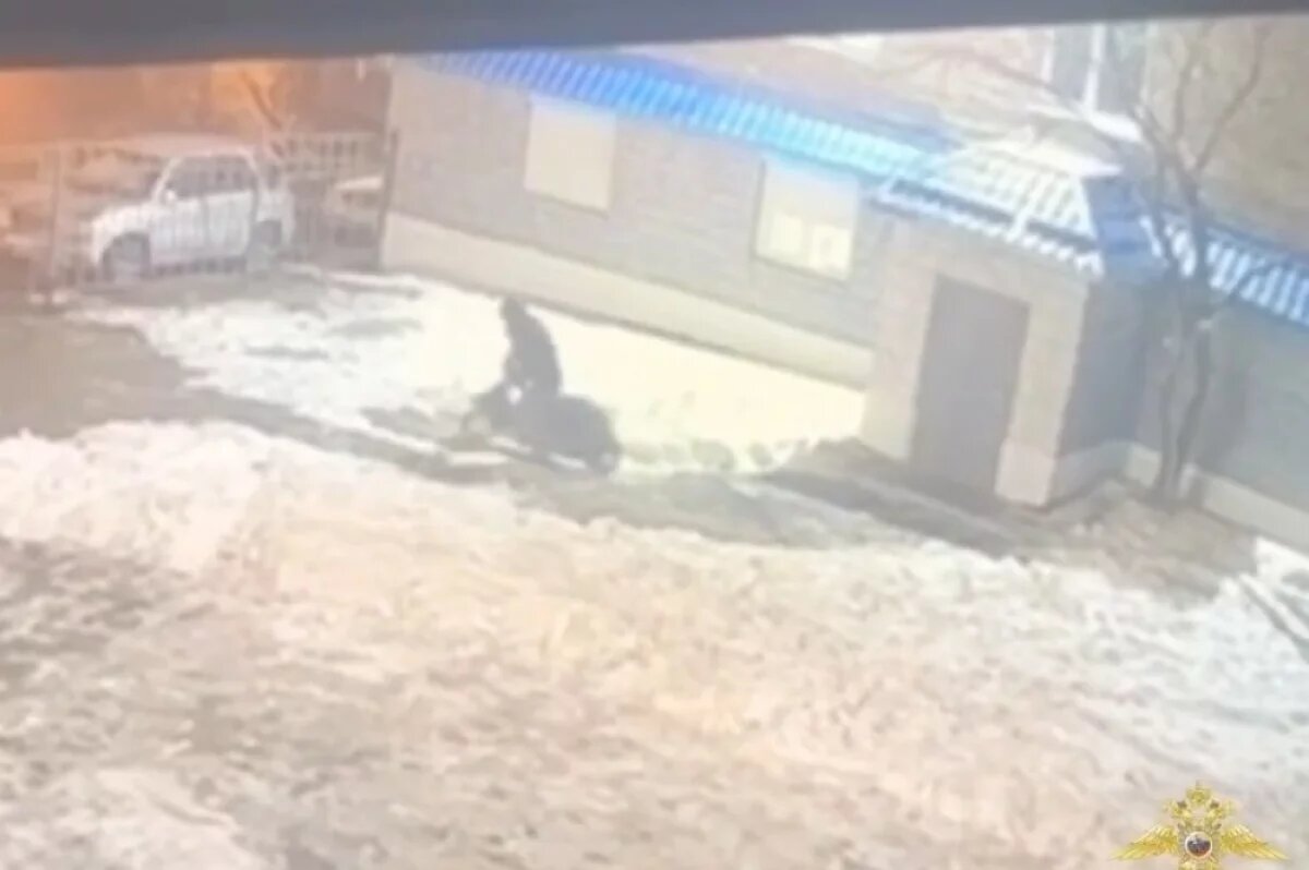    Житель Владивостока украл мопед Honda Dio, чтобы подарить его родственнику