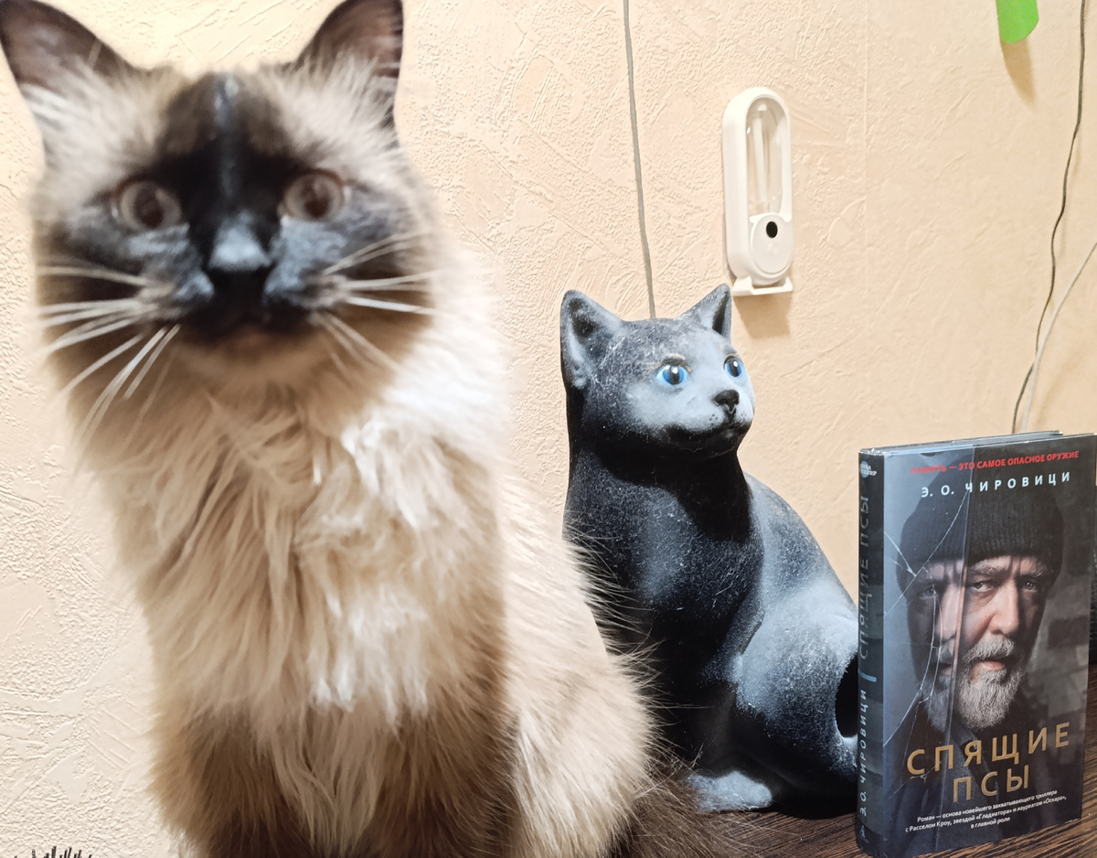 Сегодня книжку представляет Джеська, ловко мимикрировавшая под копилку, стоящую в прихожей (найдите три отличия)🤣🤣🤣. 