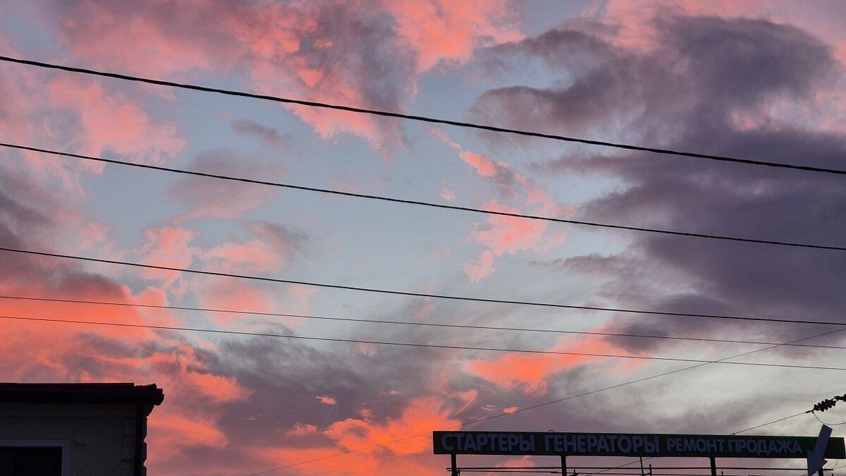    Фото: телеканал «Краснодар»