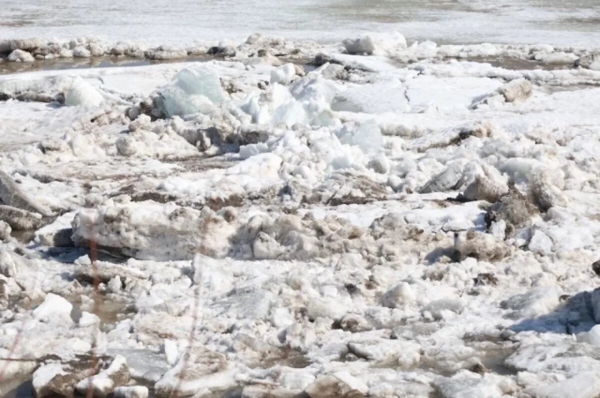    Голова ледохода на Оби подошла к границе Томской области