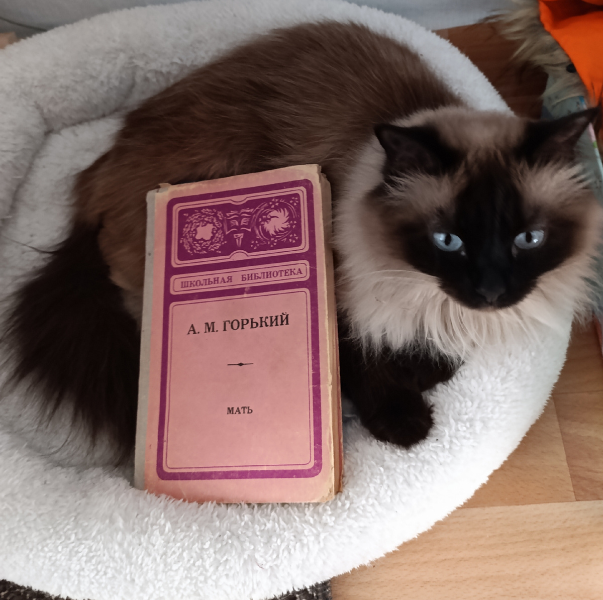 Один из самых известных революционных романов Горького представляет Джессика. 