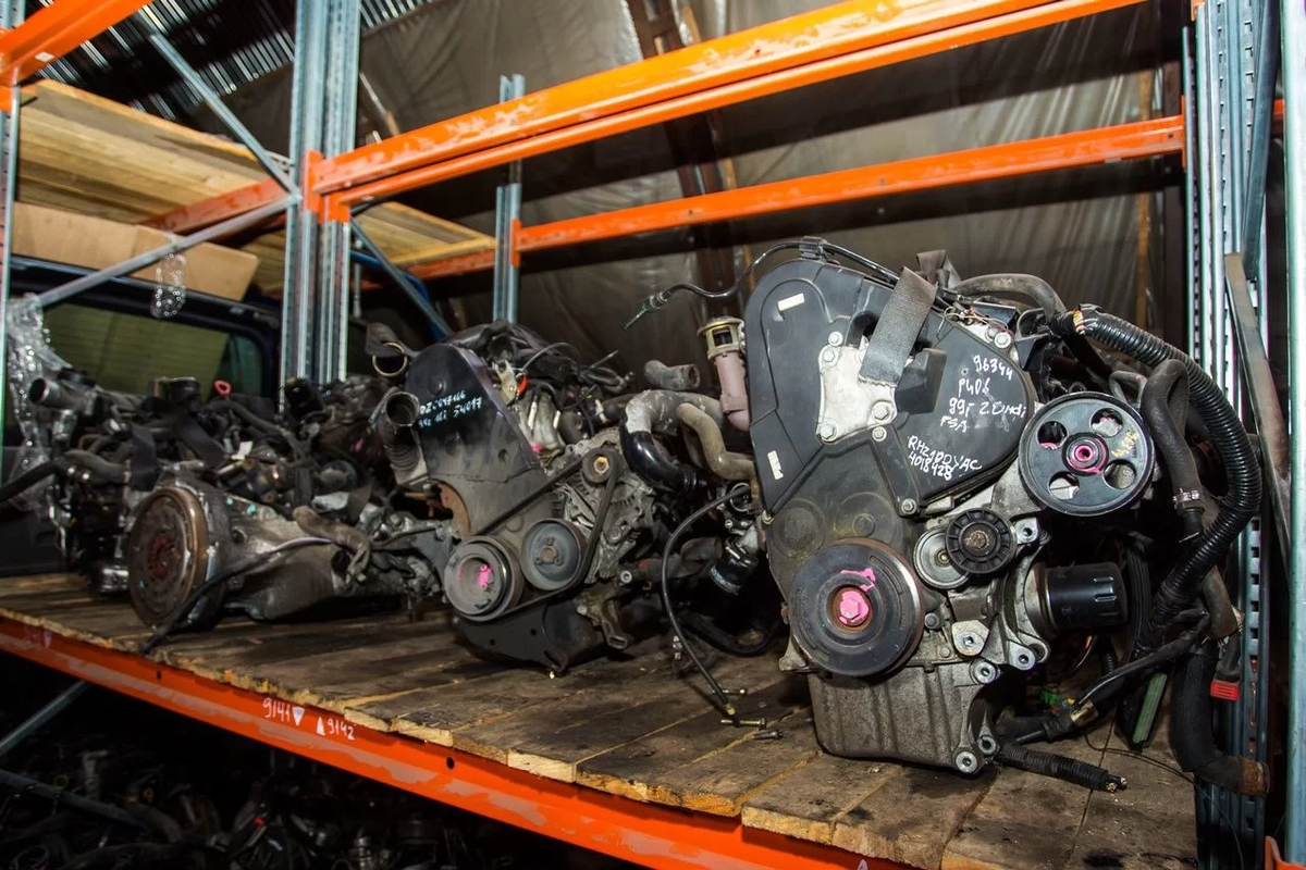 Красный, желтый, голубой - выбирай себе любой!