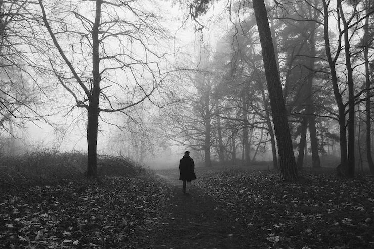 Изображение взято из открытых источников интернета. 