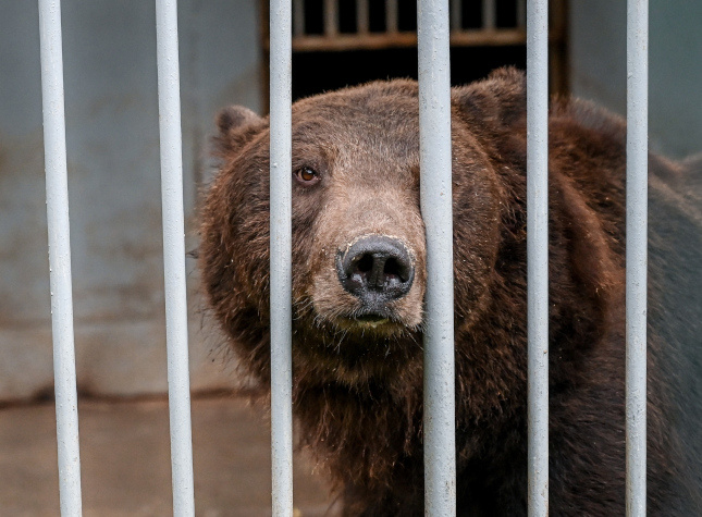 Фото: Людмила Ковалева, из архива редакции