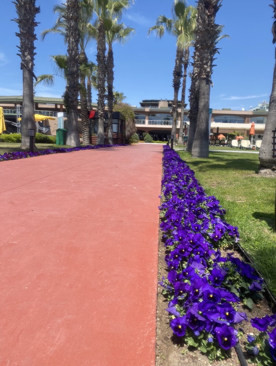 Pine Beach Belek 5* Турция