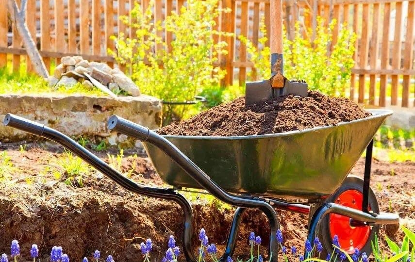Пять удобрений, которые пригодятся каждому садоводу