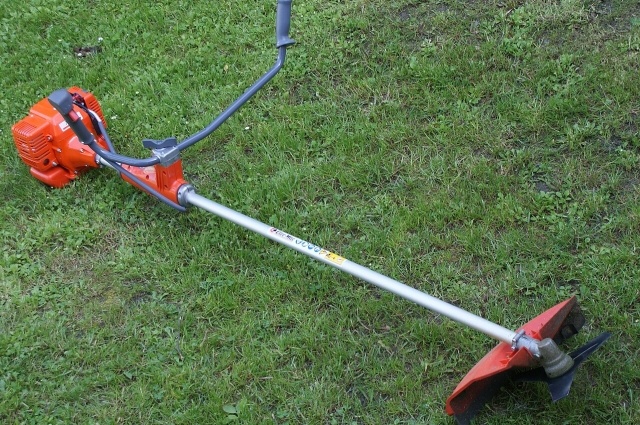    Фото: ru.wikipedia.org/ Feťour.