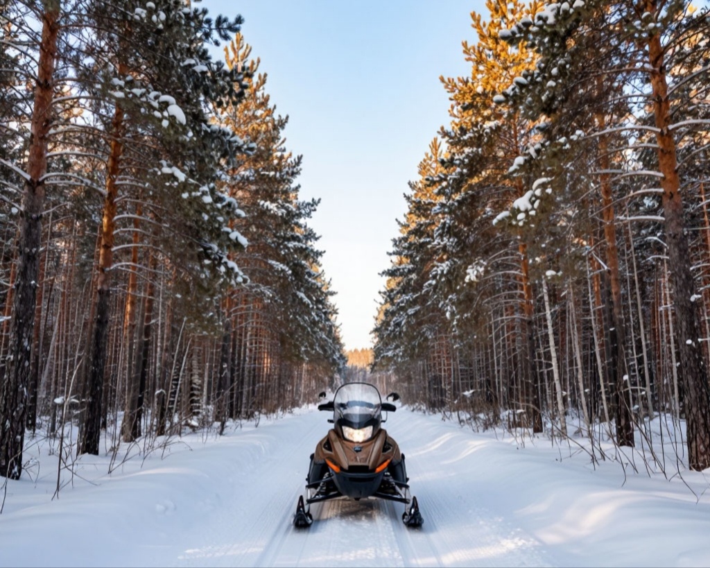 Мой путь к лесной сторожке Михалыча