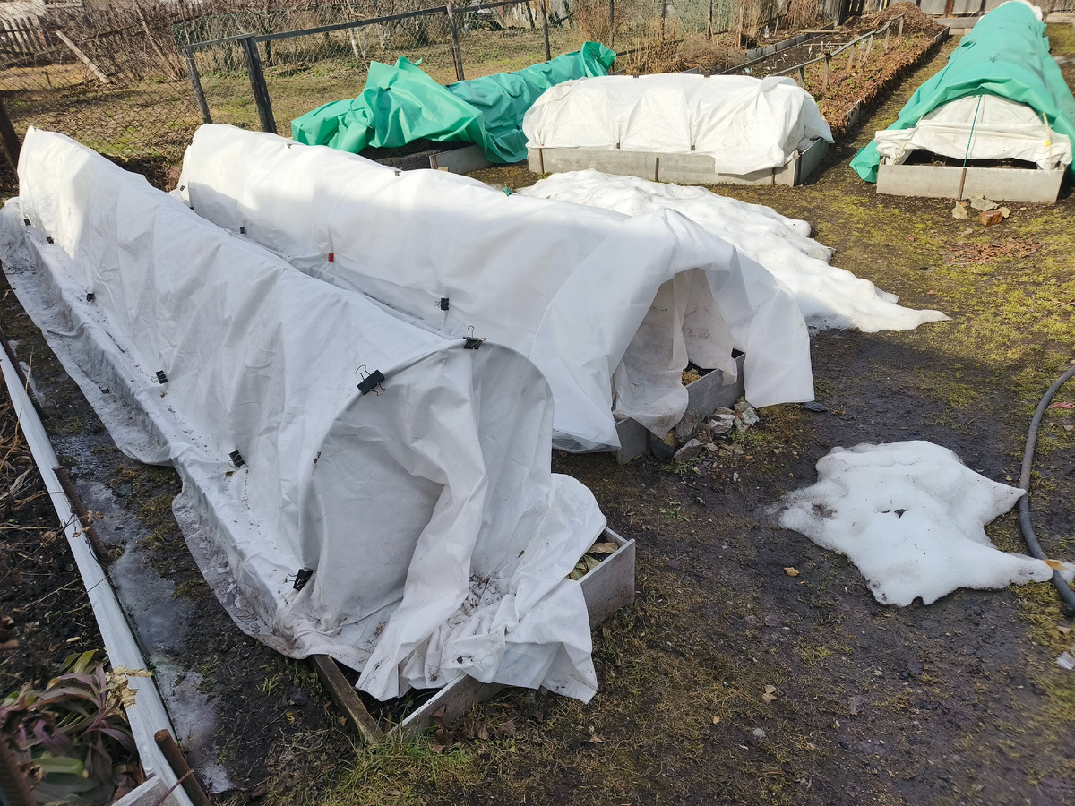 Снег очень хорошо сошёл.6 апреля