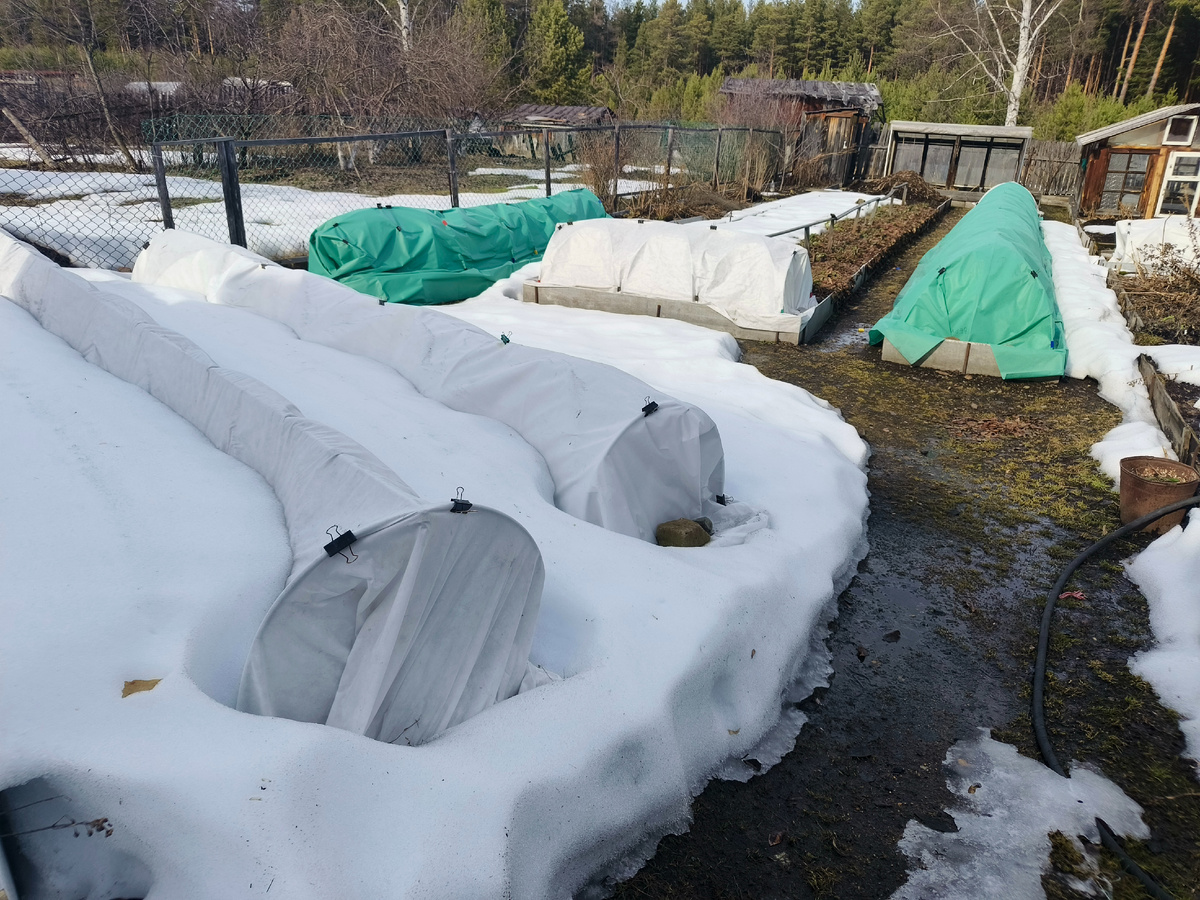 Для сравнения .2 апреля