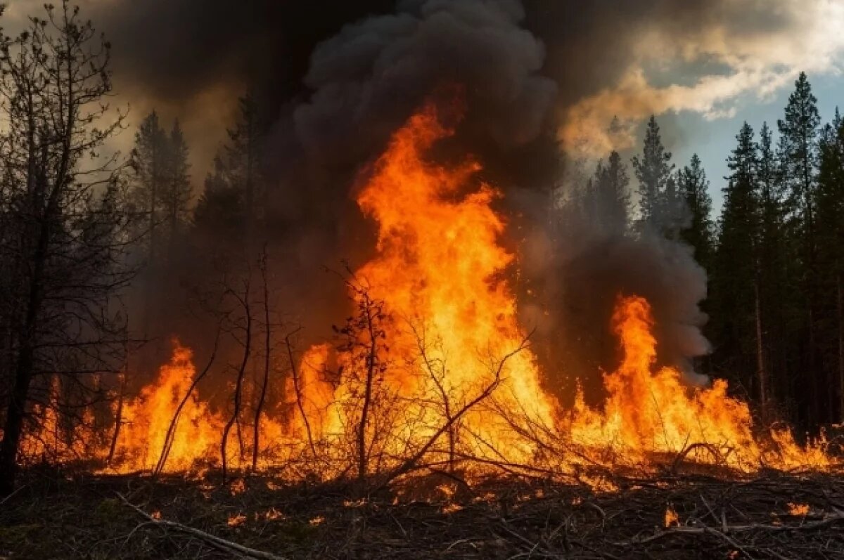    Огонь под запретом.