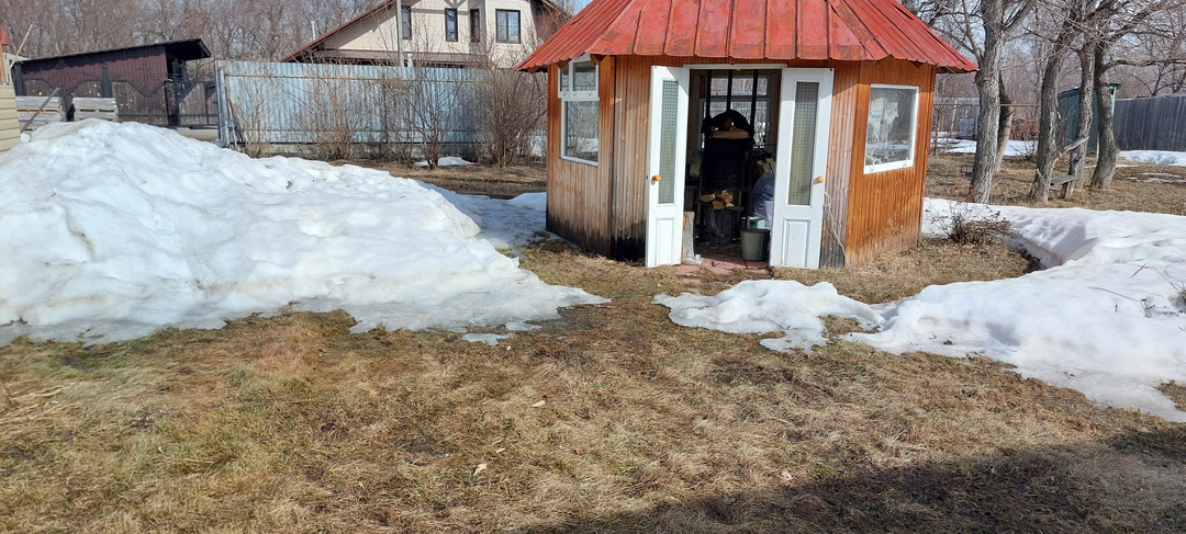 Весна все активнее и мы активно ездим по дачам и врачам