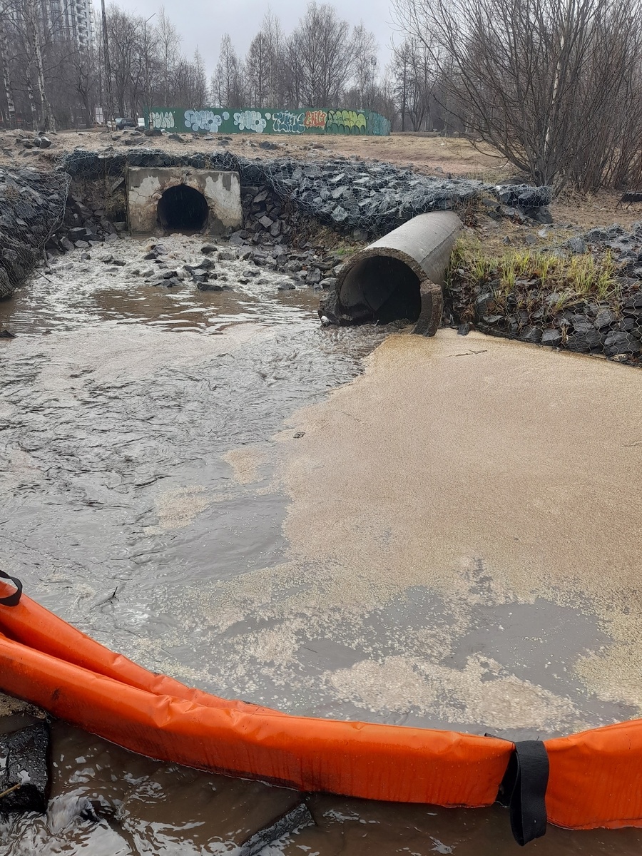    Ольга Тужикова / VK