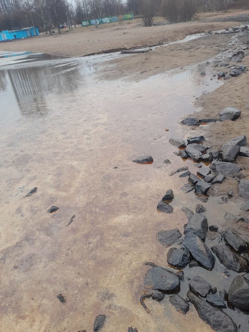    Боновые заграждения для сбора нефтяной пленки установили на озере в Петрозаводске Ольга Тужикова / VK