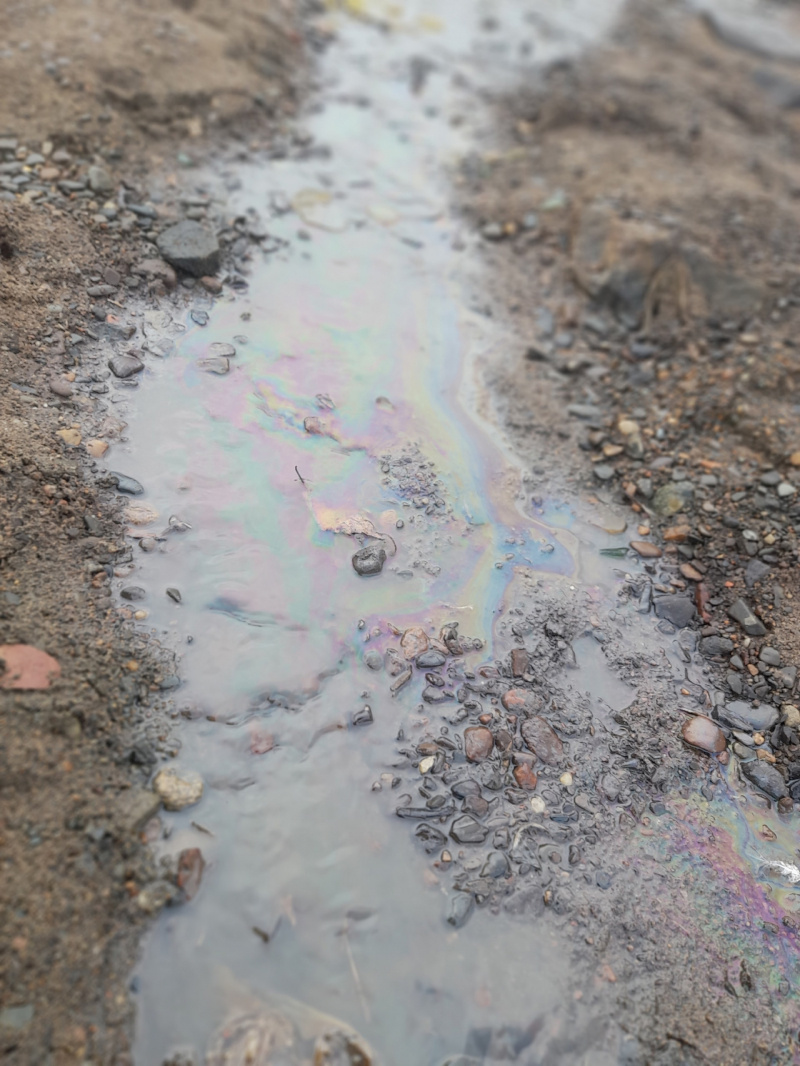    Боновые заграждения для сбора нефтяной пленки установили на озере в Петрозаводске Ольга Тужикова / VK