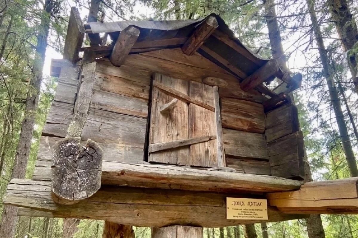    В Югре временно закроют экспозицию под открытым небом в «Торум Маа»