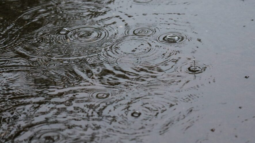    Фото: KazanFirst