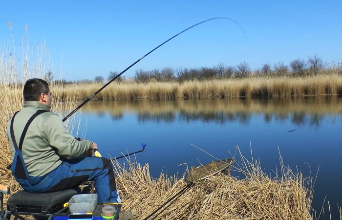Весенний маховое удилище: тонкости прибрежной ловли в апреле