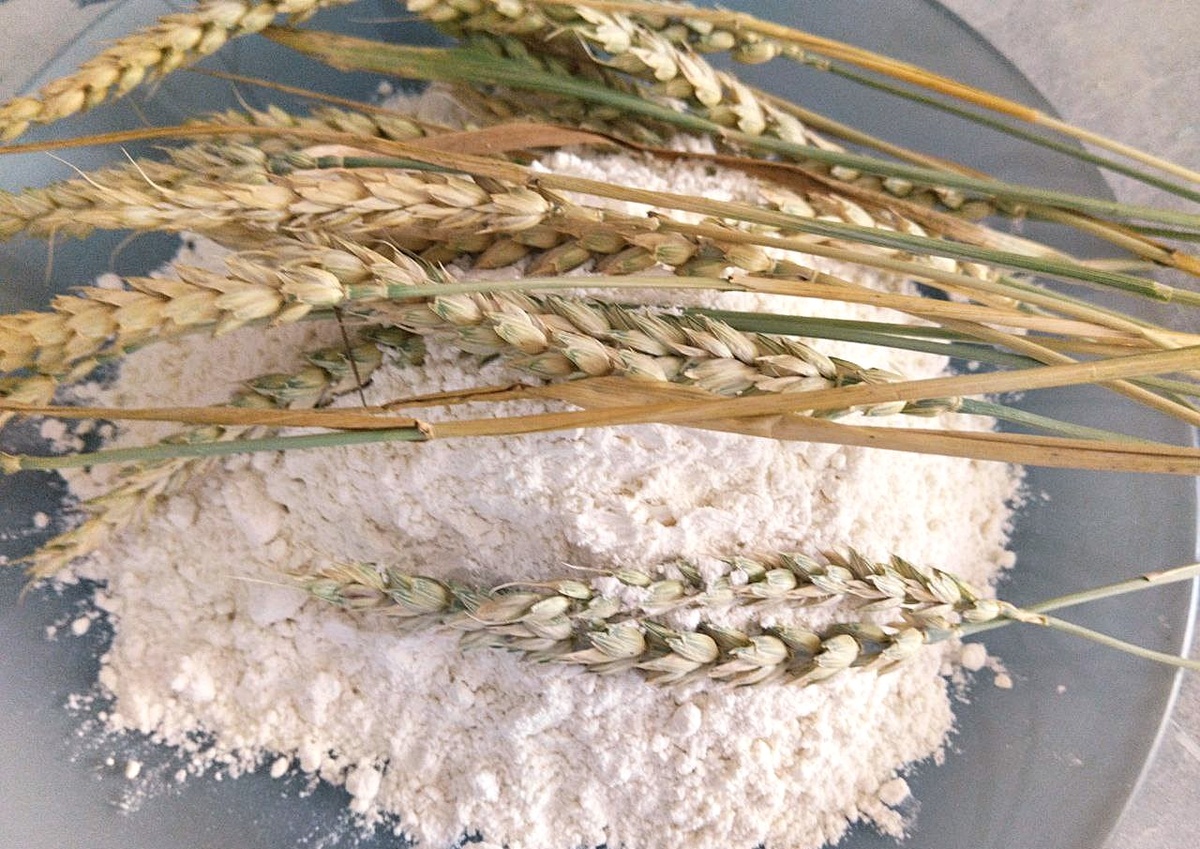 Фото: АПК Новости