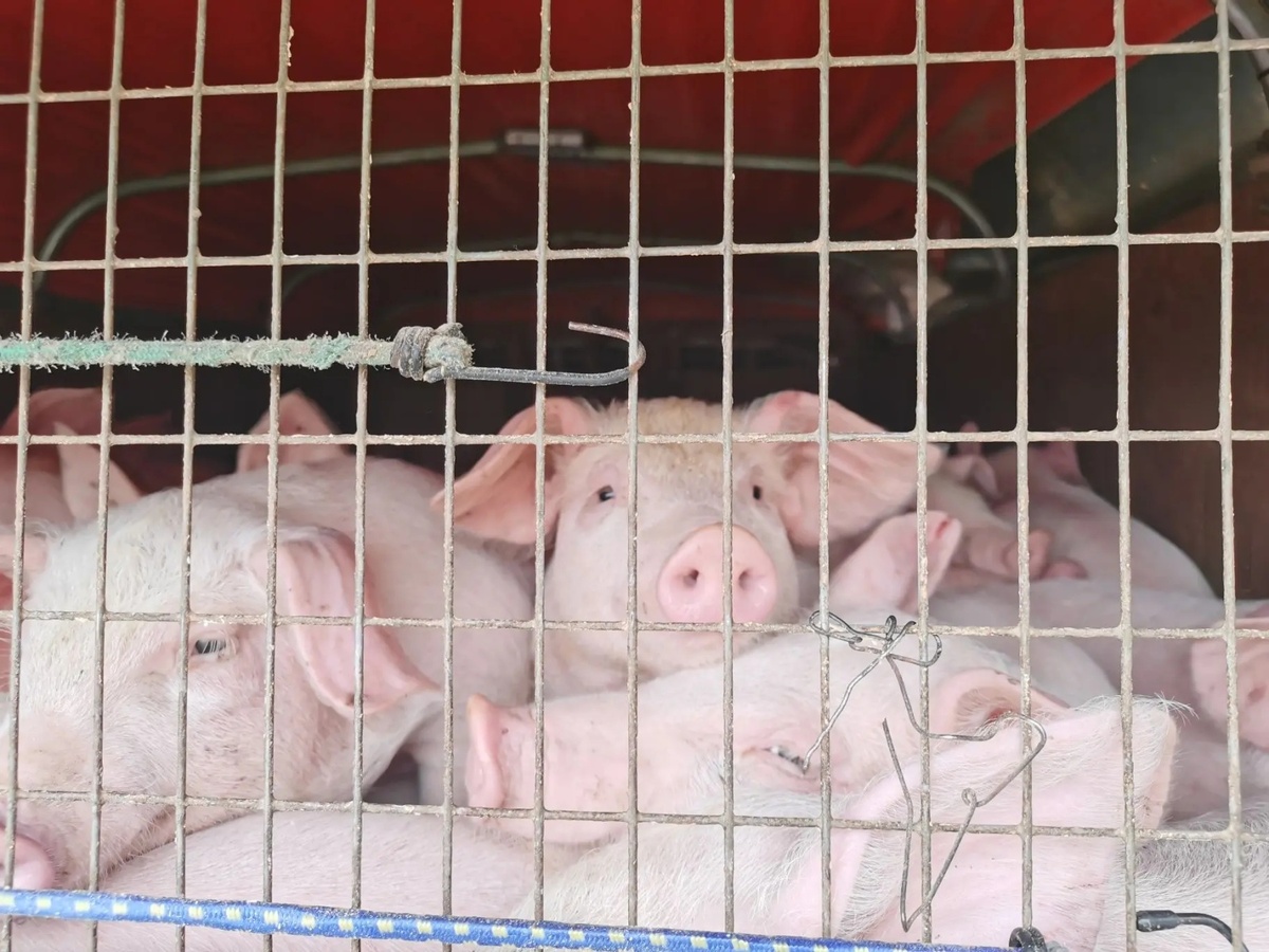 пресс-служба правительства Иркутской области