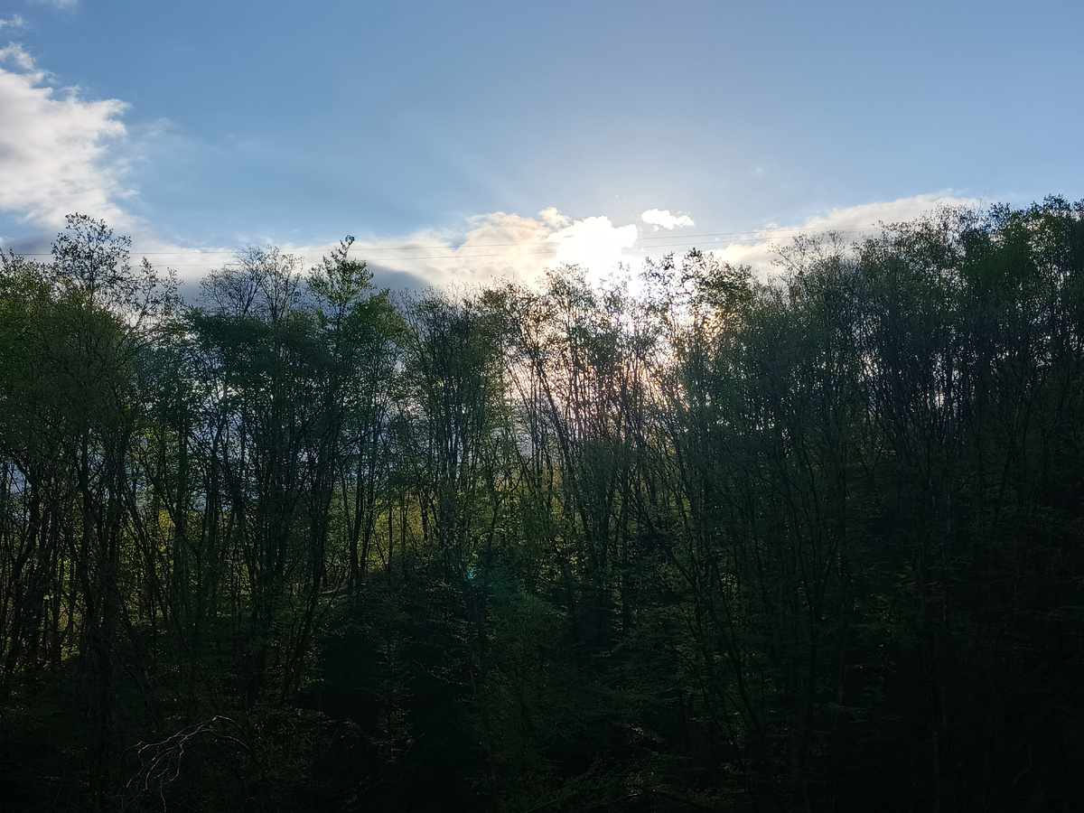 Адлер, село Орел-Изумруд, 08.04.26, 7.10