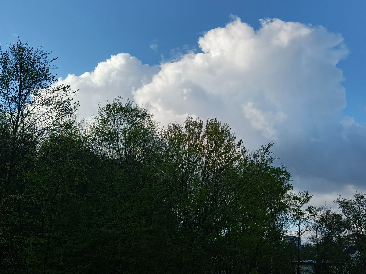 Адлер, село Орел-Изумруд, 08.04.26, 7.10