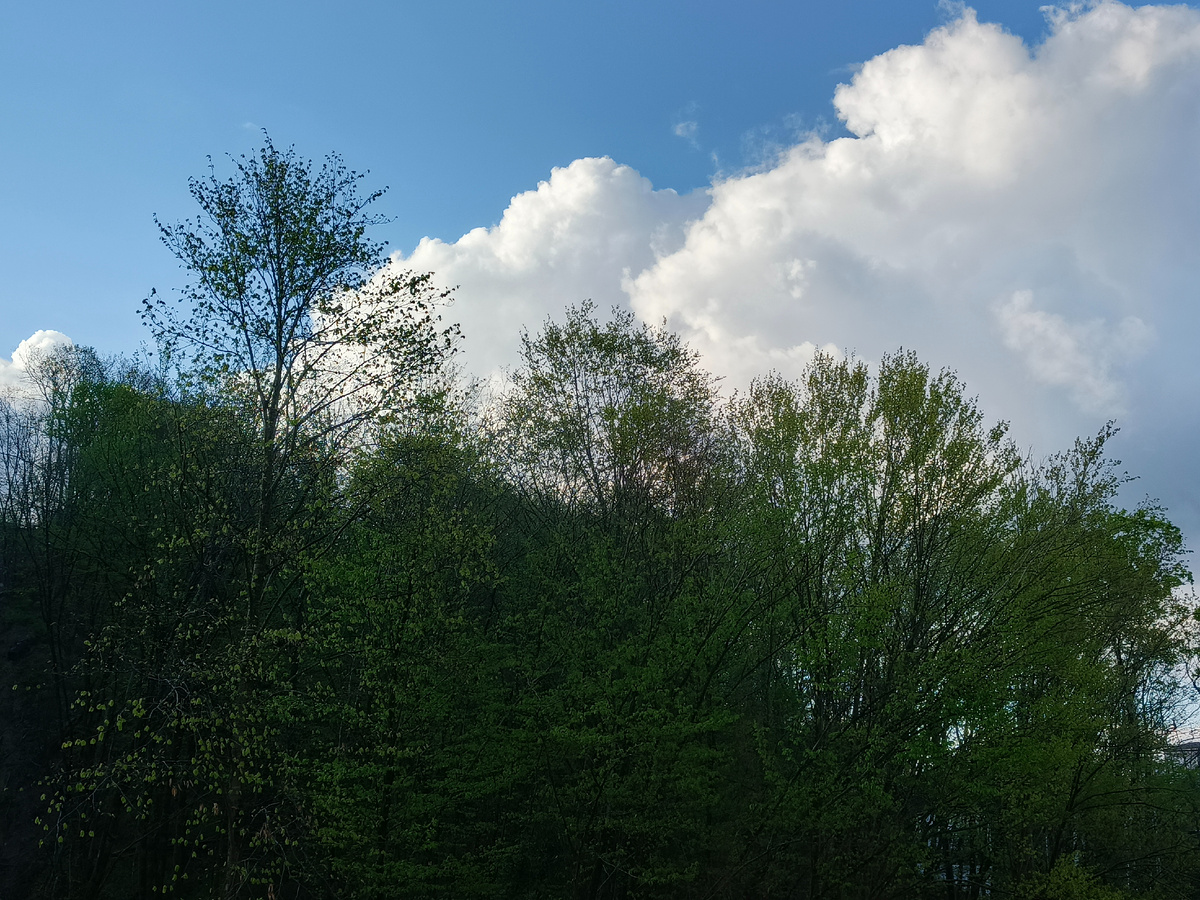 Адлер, село Орел-Изумруд, 08.04.26, 7.10