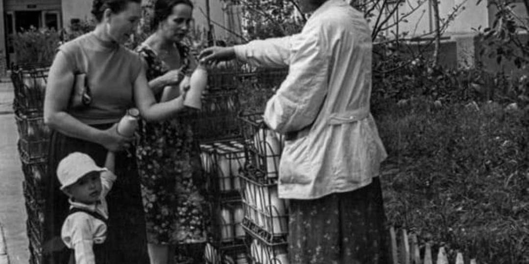 Москва, 1960 год — как молоко становилось частью двора