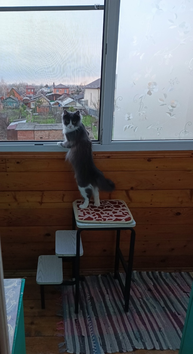 Фото автора