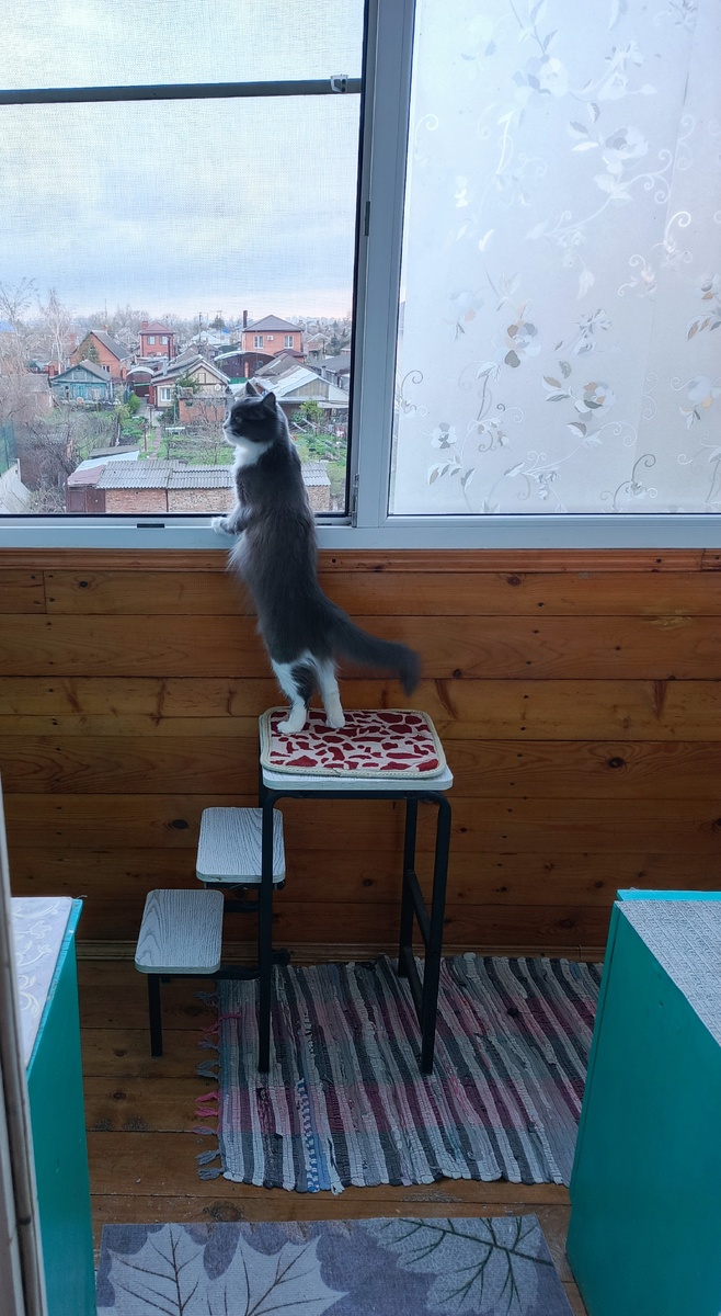 Фото автора