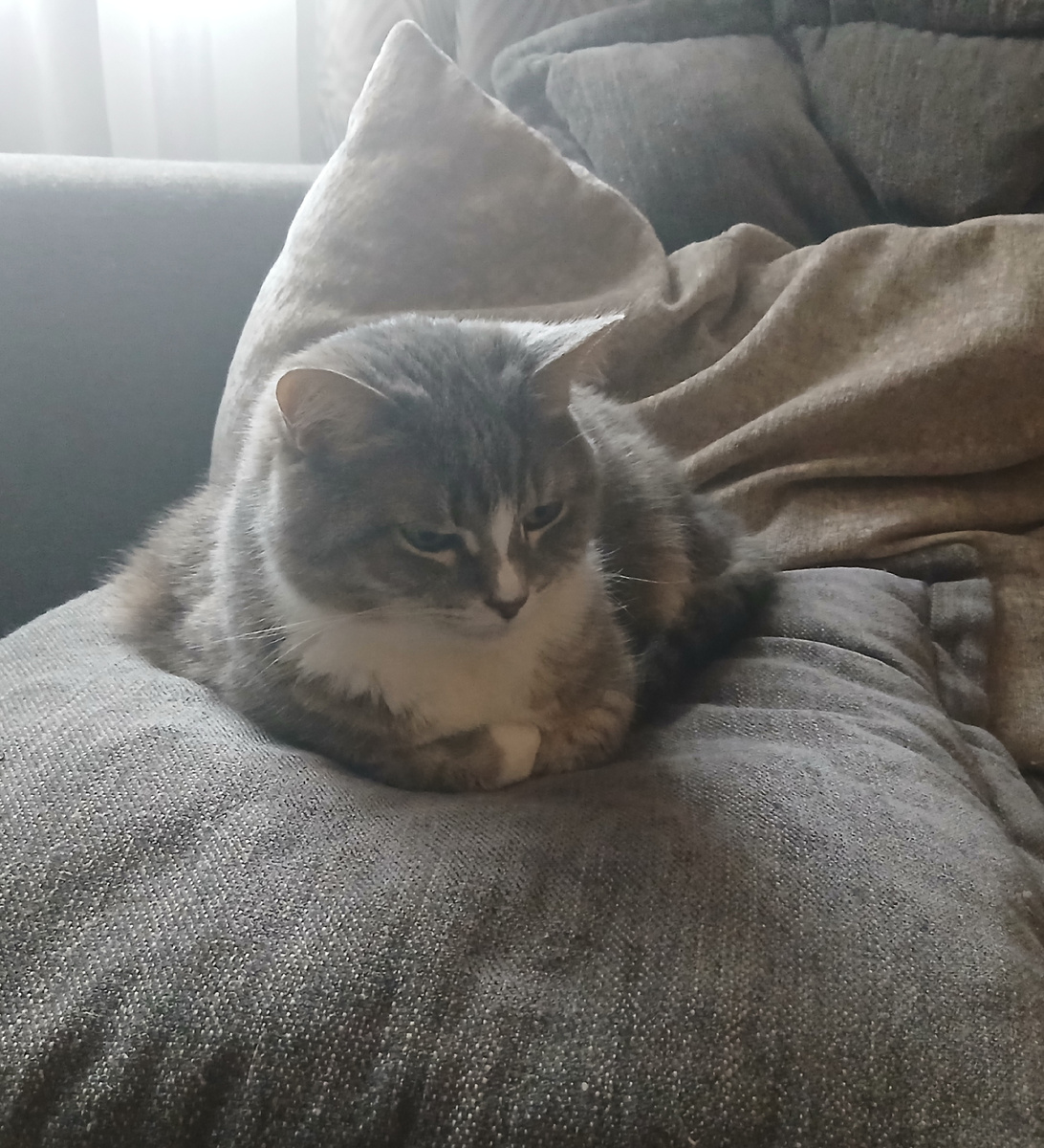 Засыпает после завтрака