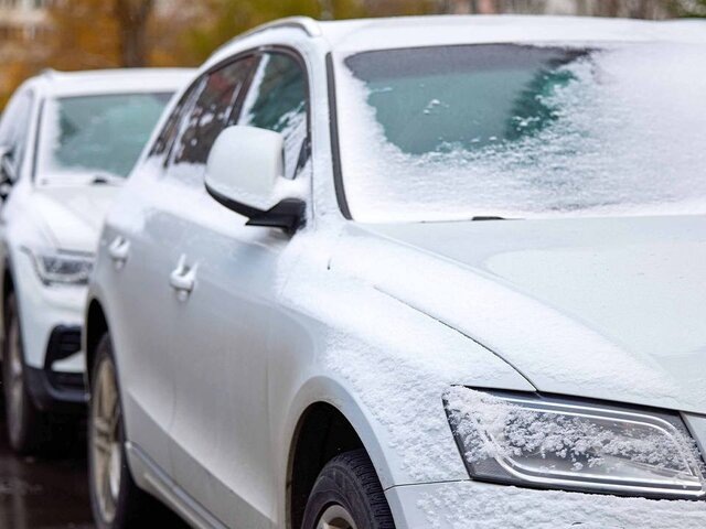    Фото: портал мэра и правительства Москвы/Максим Денисов