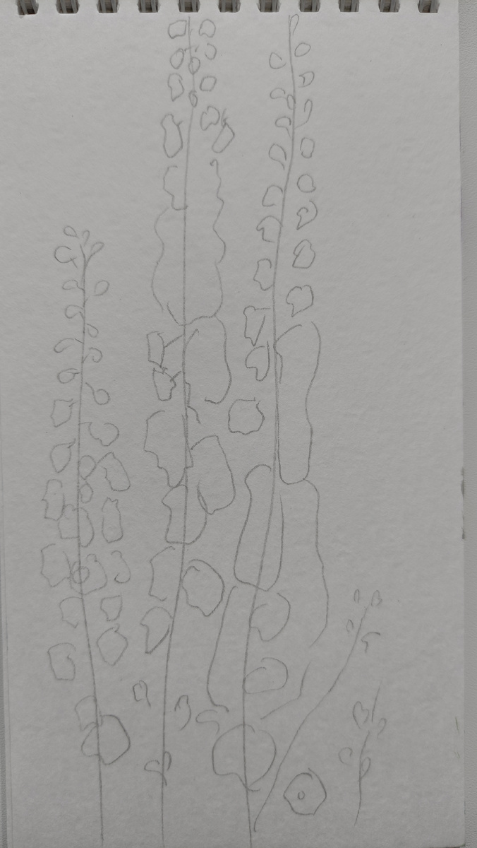 Карандашный набросок