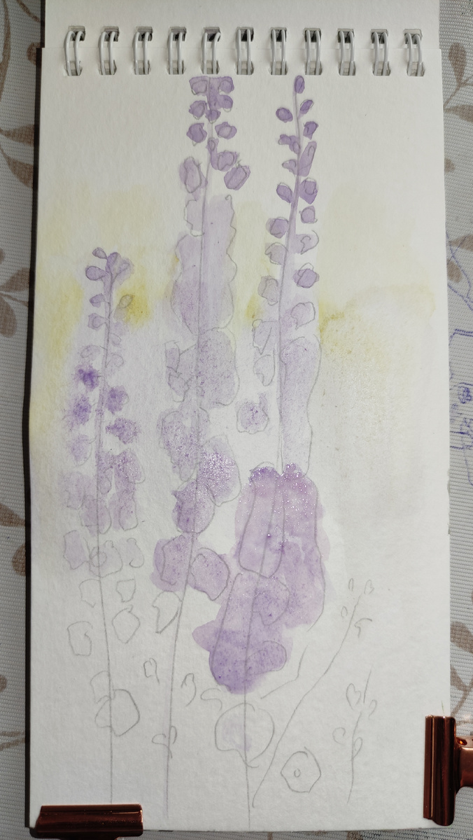 Первая заливка цветом