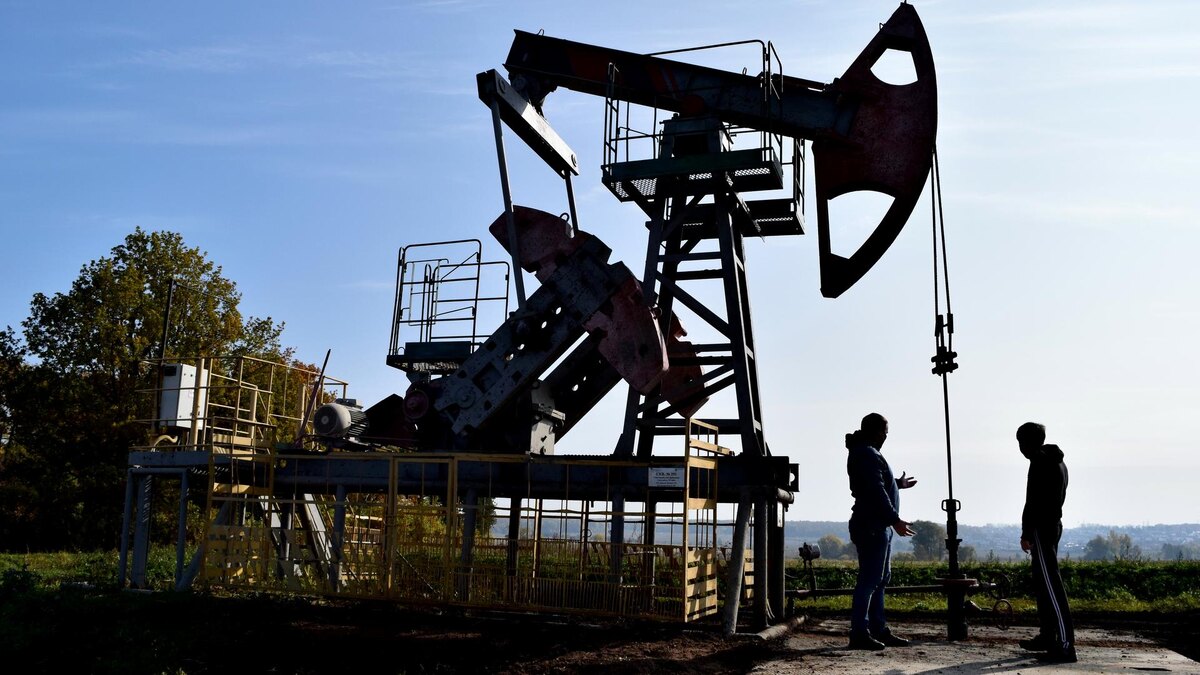    Фото: Zamir Usmanov/Global Look Press