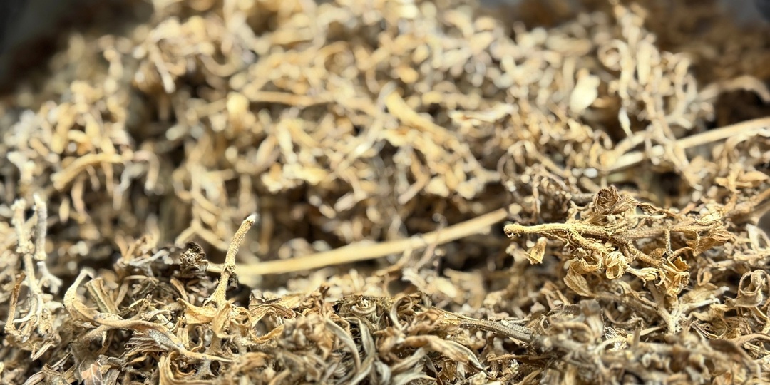 🌱👮‍♂В Бийске у местного жителя изъяли более 300 граммов растительных наркотиков