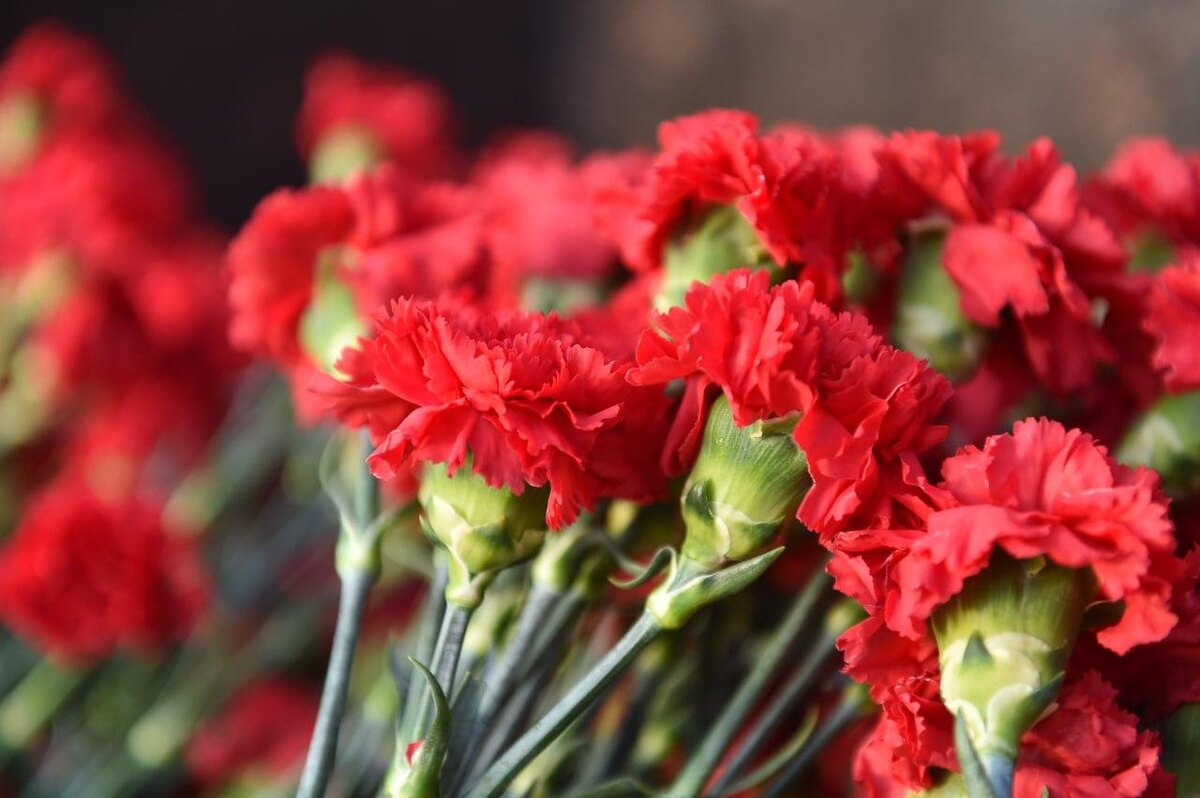    © Константин Долгановский