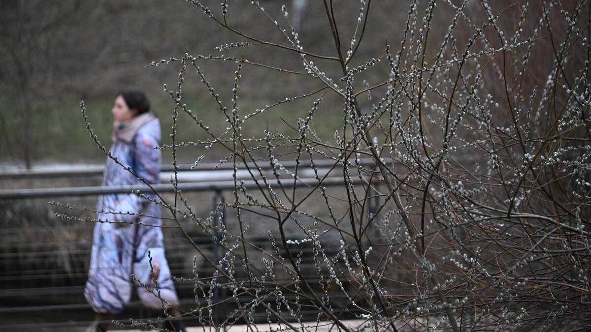    Фото: Komsomolskaya Pravda/Global Look Press