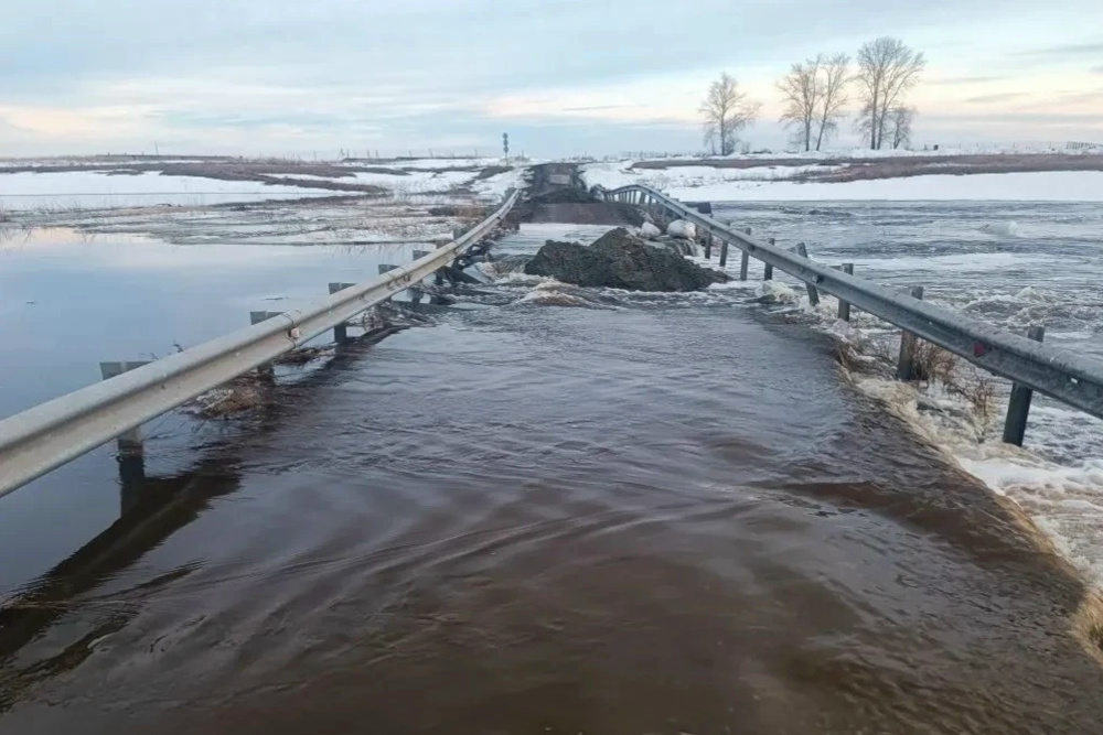    Фото: ТУАД Новосибирской области