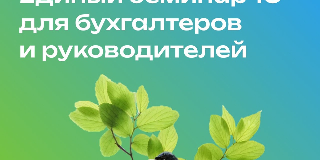 Единый семинар начинается!