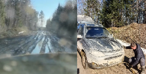    Читатель «Фактора»